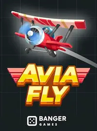 Avia Fly crash at 54 BED COM